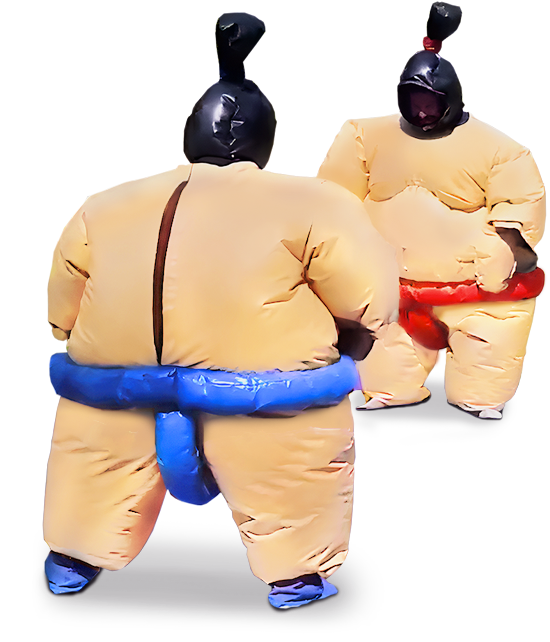 Sumo Suit Wrestling Image